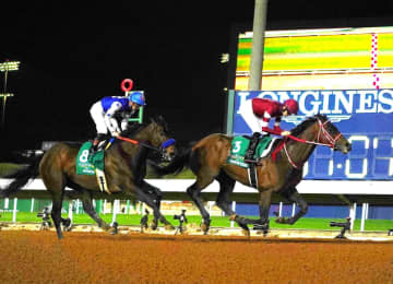 【サウジC】世界最高賞金15億円ゲット！フォーエバーヤング史上初連覇達成 総賞金45億円突破！馬主は“ウマ娘”藤田晋氏 坂井「アメージング」