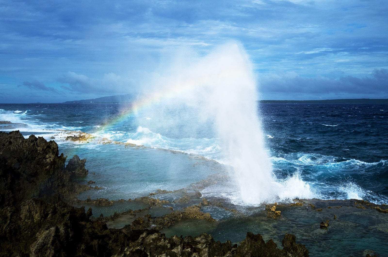 10メートル近くまで達する潮吹きは迫力満点！ブロー・ホール（C）Junji Takasago／MVA