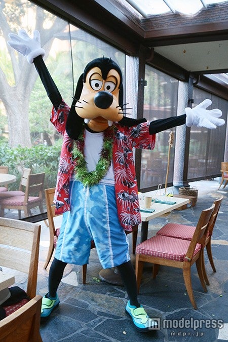 グーフィーがやってきた！／アンティーズ・ブレックファスト・セレブレーション・マカヒキ