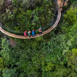 キャノピーツアー(C)Canopy Tours