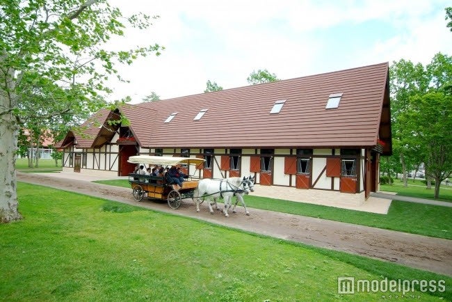 国内最大の“馬のテーマパーク”「ノーザンホースパーク」／画像提供：ノーザンホースパーク