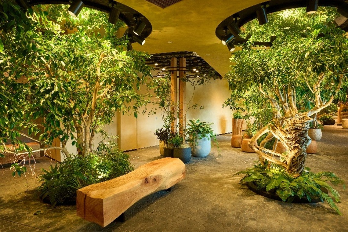 LUFTBAUM／提供画像