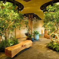 LUFTBAUM/提供画像