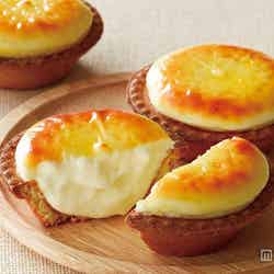 北海道で生まれた「焼きたてチーズタルト」【モデルプレス】