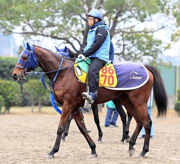 【福島牝馬S】カネラフィーナが再進撃へ 3カ月半の休養明けも手塚久師「力は足りると思います」
