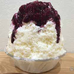 雪華レアチーズ/画像提供:イオンレイクタウン