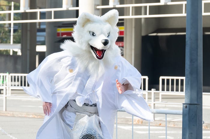 全力疾走する狼の着ぐるみ(C)テレビ朝日