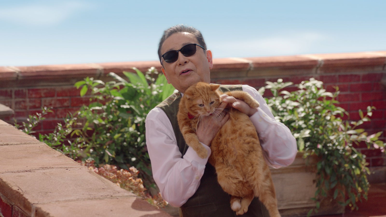 タモリ／新TVCM「屋上での出会い」篇（提供写真）