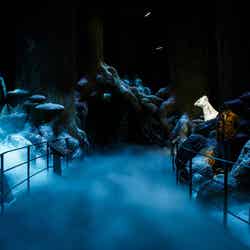 Warner Bros. Studio Tour London – The Making of Harry Potter