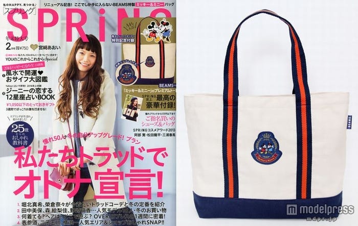 「SPRiNG」2月号(宝島社、2013年12月21日発売)特別付録:「ミッキー&ミニー」トートバッグ
