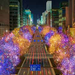 御堂筋イルミネーション2023イメージパース/提供画像提供画像