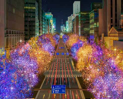 「大阪・光の饗宴2023」開幕、御堂筋がイルミの優しいきらめきに包まれる約4㎞の光の道