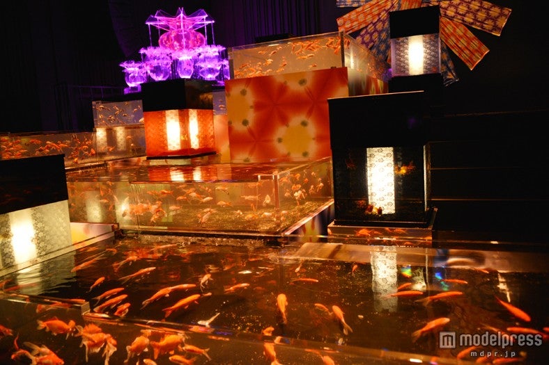 「『ECO EDO 日本橋』ダイナースクラブ アートアクアリウム2013～江戸・金魚の涼～」
