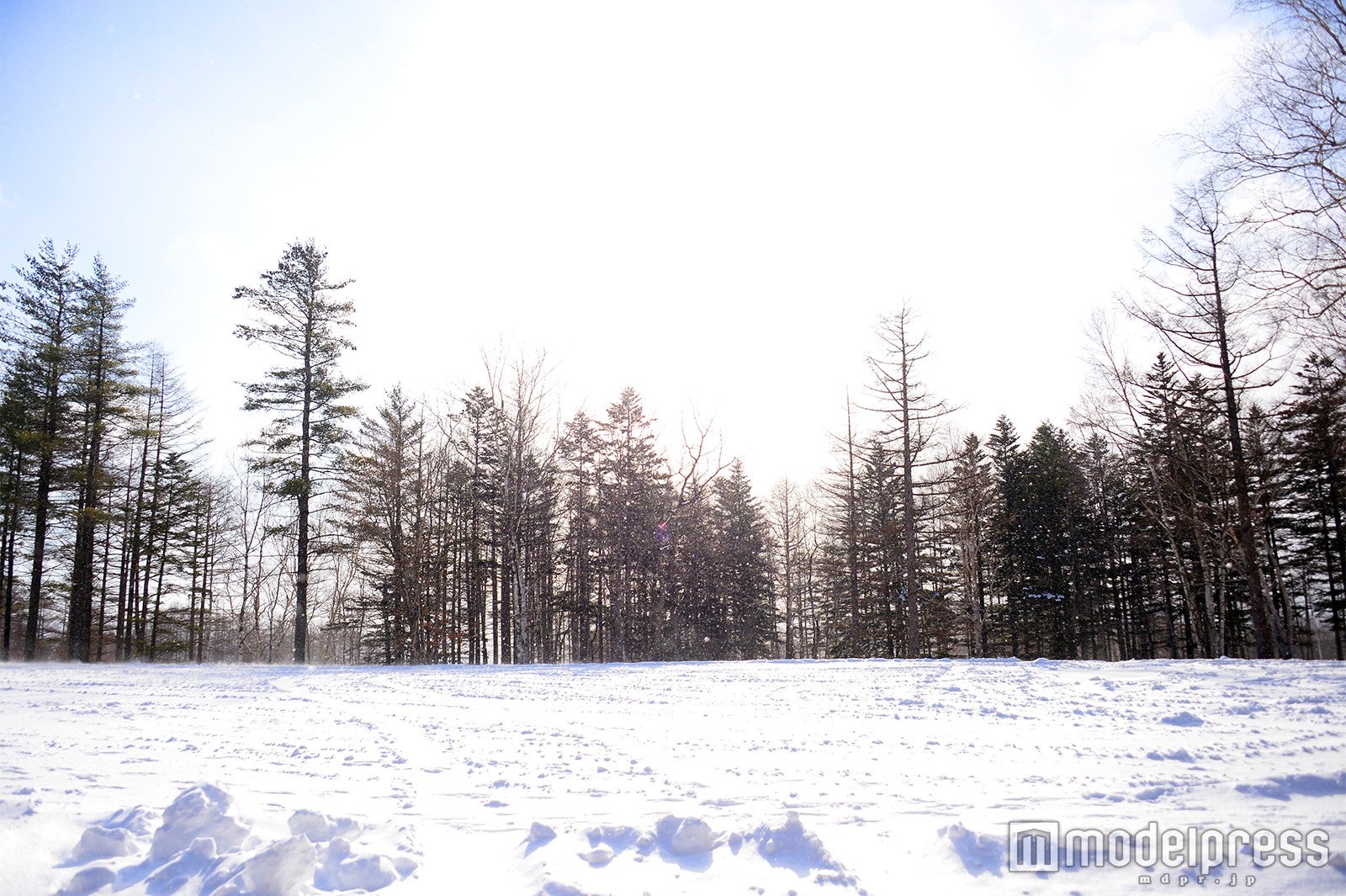 冬は一面雪景色に（C）モデルプレス