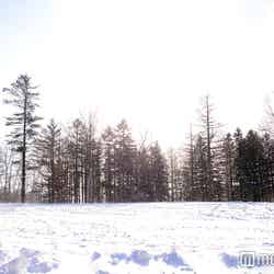 冬は一面雪景色に(C)モデルプレス