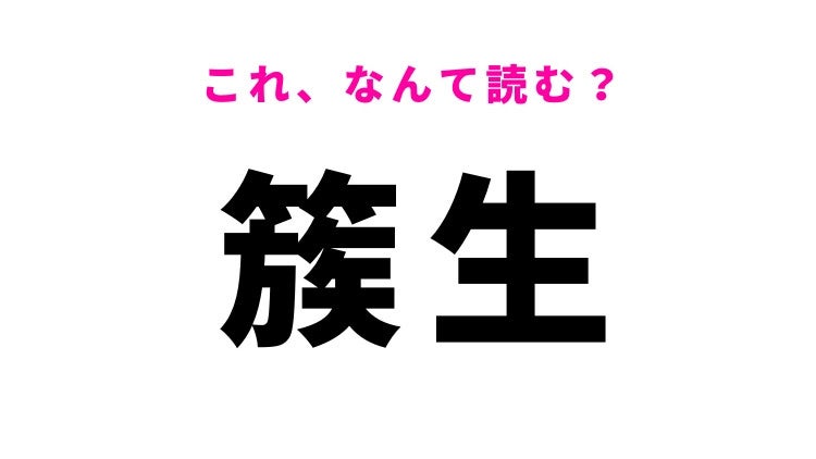 【簇生】はなんて読む？「簇」の読み方がポイント！