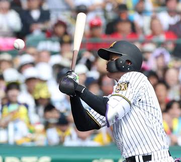 阪神 森下翔太が死球受け甲子園が騒然 スタンドから怒号も 藤川監督が心配そうにベンチを出る プレー続行で大きな拍手