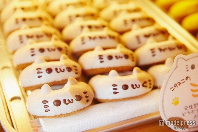 こねこのミケ／画像提供：イクミママ