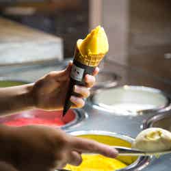 Hotel宇多野京都別墅/提供画像