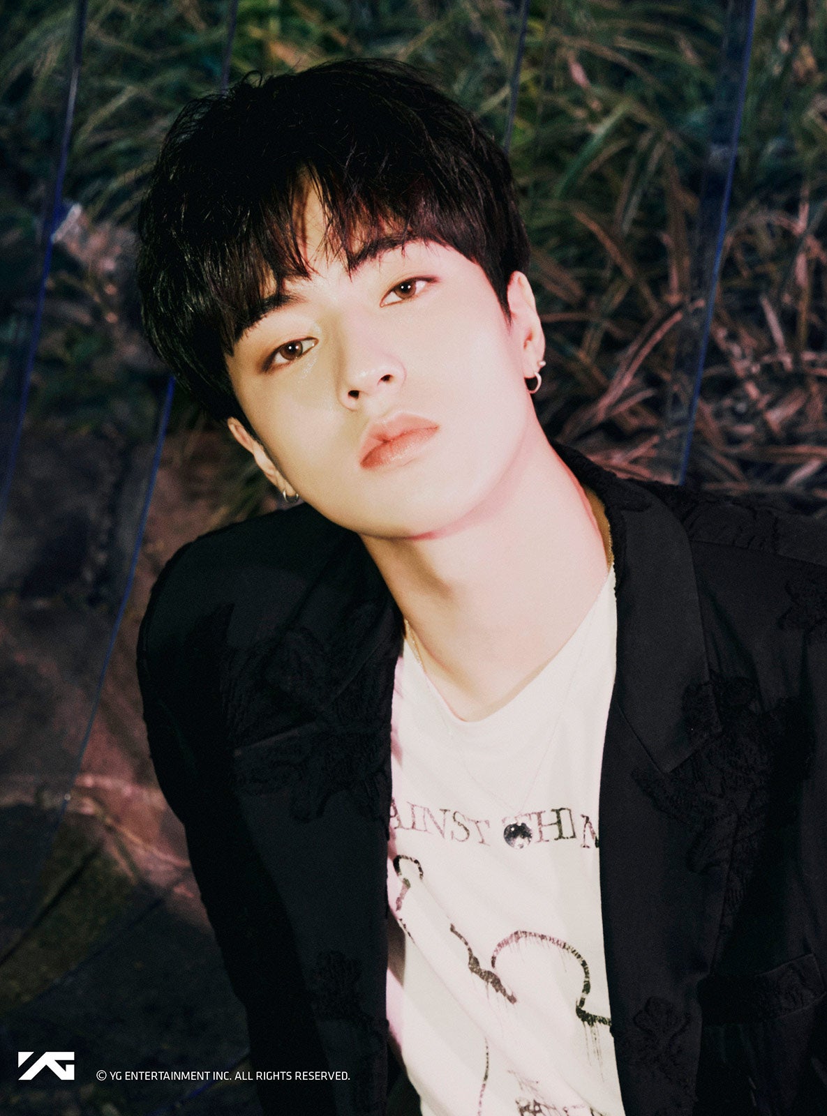 ハルト （提供写真）