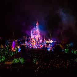「Celebrate！Tokyo Disneyland」（C）Disney