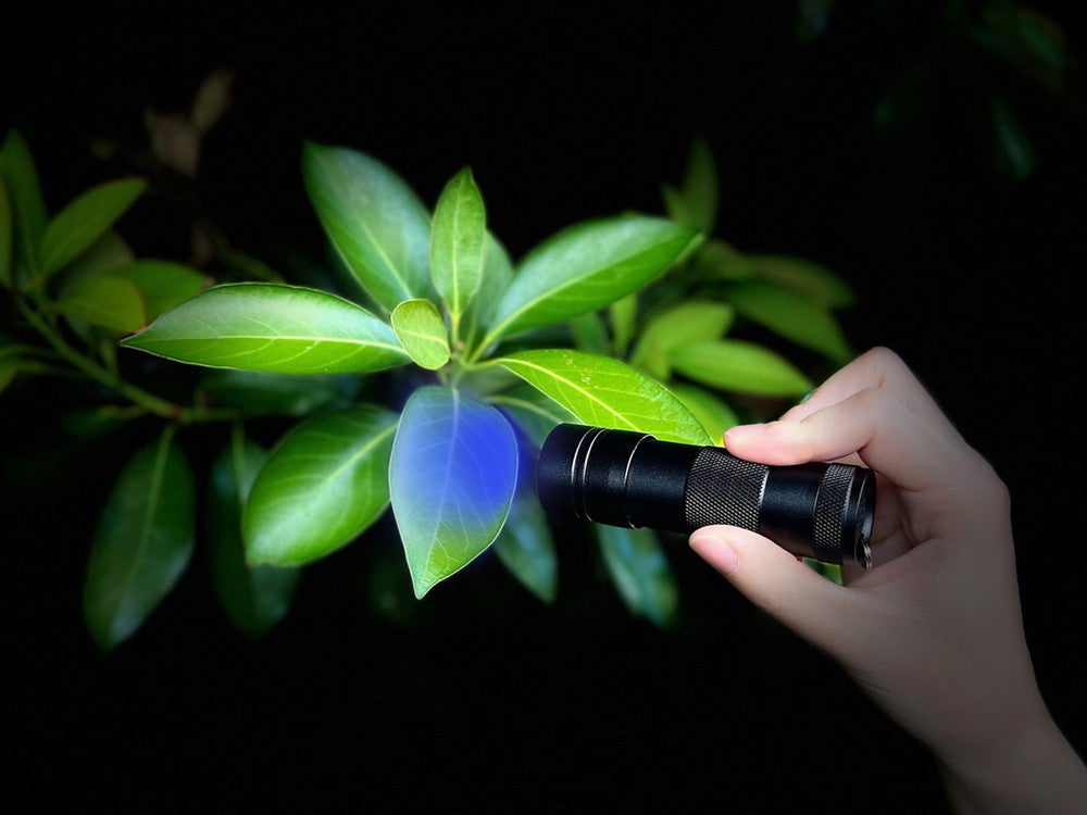 キメラ～侵食の研究室（シーケンス）～（イメージ）／提供画像