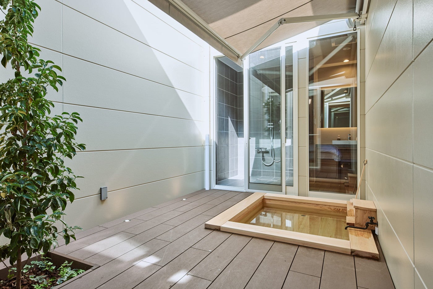 星の華／画像提供：ダイスプロジェクト