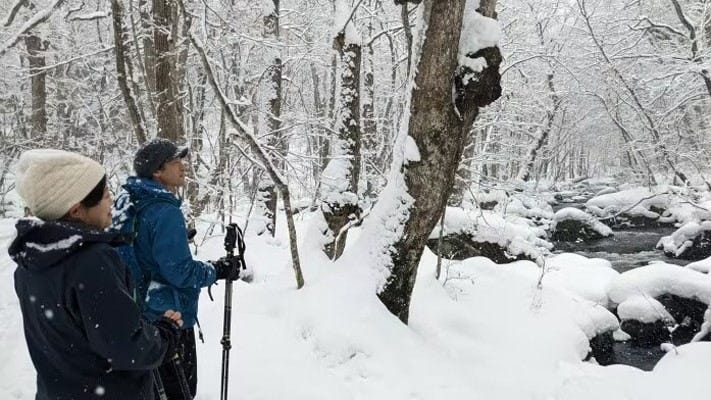 「雪が解けるとこの辺りは立ち入りできないんです」とガイドの方