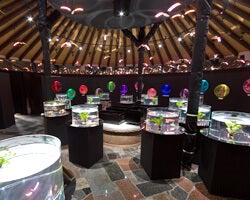 水中楽園アクアリウム／画像提供：御殿場高原ビール