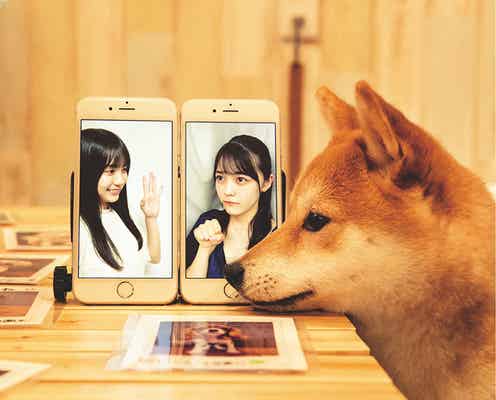 乃木坂46賀喜遥香&柴田柚菜、“犬と飼い主”に 相思相愛の想い語る