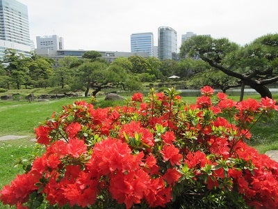 旧芝離宮恩賜庭園