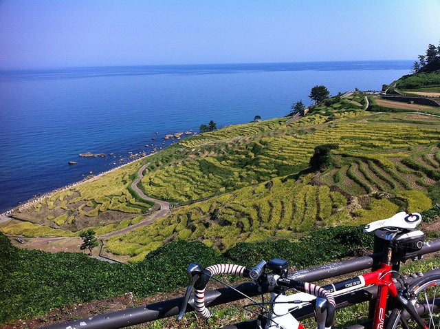 白米の千枚田 by ryoichitanaka