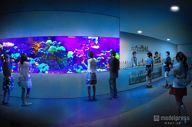 コーラルカフェバー