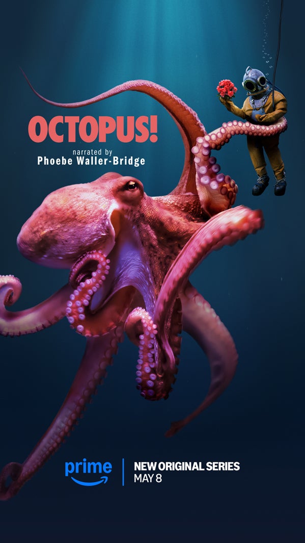 Amazon Original「オクトパス！ ～未知なる生命体タコの世界～」（Octopus!／アメリカ）シーズン1（C）Amazon MGM Studios