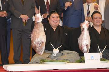 6場所ぶりV涙の大の里は「新しいルーティンをつくったんだな」 故郷・糸魚川の願い－羽を休める場所に