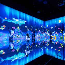 チームラボ《スケッチオーシャン》(C)チームラボ