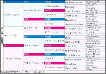 【天皇賞】ホーエリート 父ルーラーシップ×母父ステイゴールド配合の妙 スピード色の濃い牝系から引き出されたスタミナ