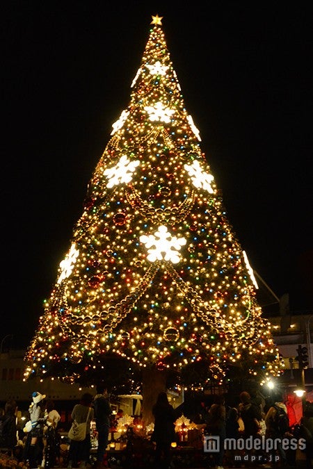 高さ15メートルの巨大なツリー