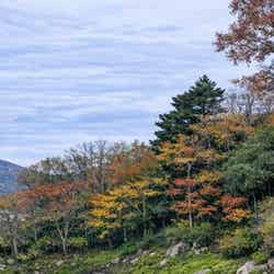 「見晴らしテラス」から見える景色(イメージ)/提供画像