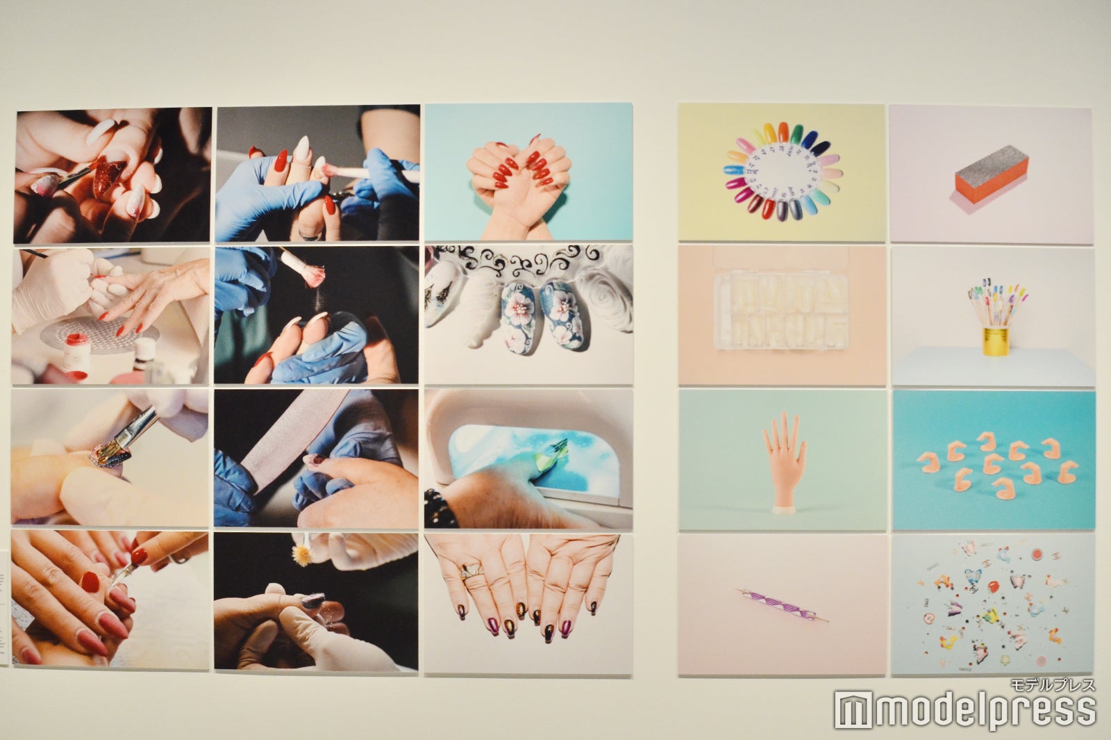 （C）モデルプレス