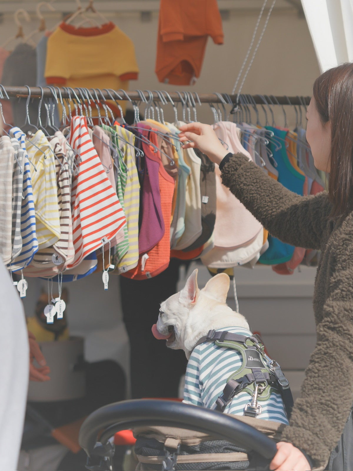 赤レンガでわんさんぽ／提供画像