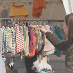 赤レンガでわんさんぽ/提供画像