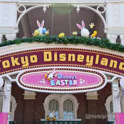 デコレーション／東京ディズニーランド（C）モデルプレス（C）Disney