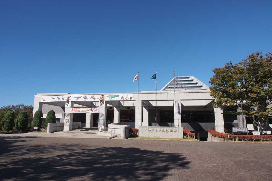 千葉県立中央博物館