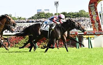 2冠馬ロブチェンは8月帰厩予定 菊花賞見据え神戸新聞杯で始動へ