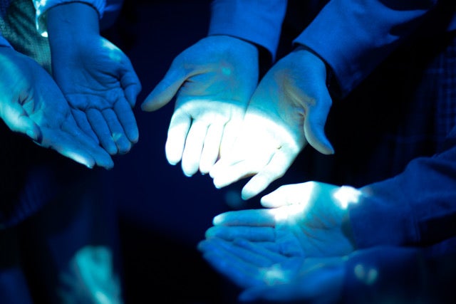 クラゲ大水槽[クラゲ365] （提供画像）