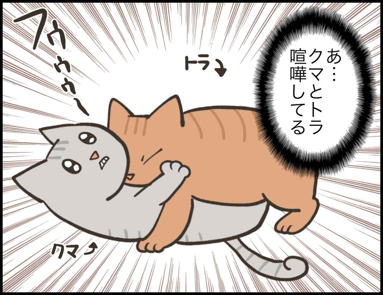 漫画 アラサー主婦のあるある日記 猫のけんか モデルプレス