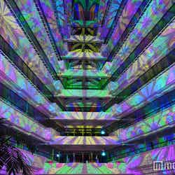 “シェラトン沖縄”で魅惑のマッピングショーに感動!圧巻の世界観とめくるめく極彩色