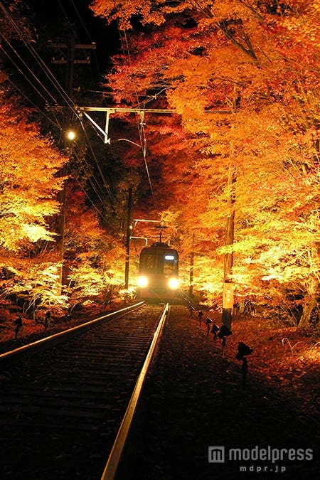 京都でノスタルジックな紅葉ライトアップスタート