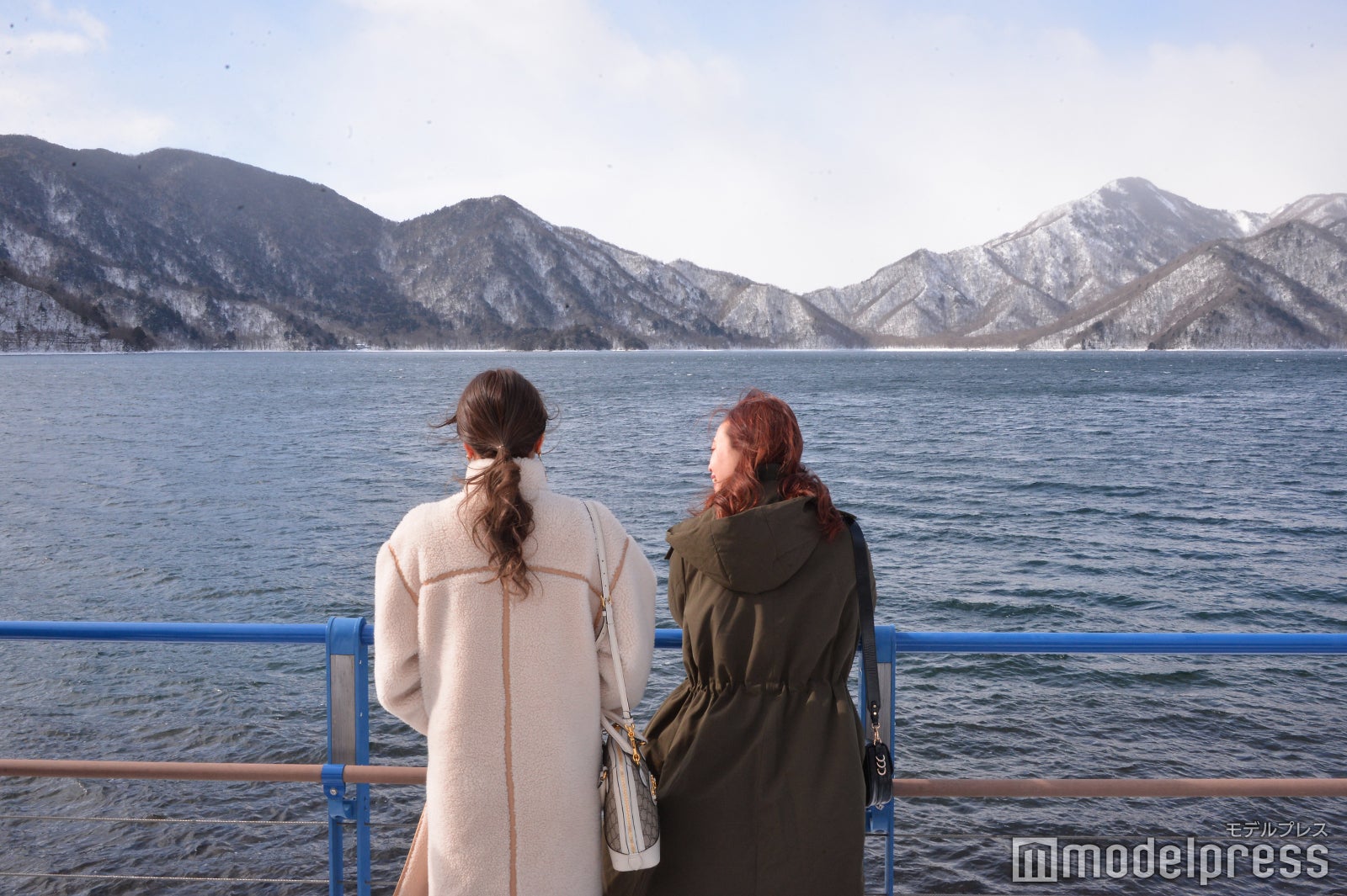 「NIKKO MaaS」公式サイト